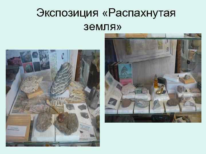 Экспозиция «Распахнутая земля» 