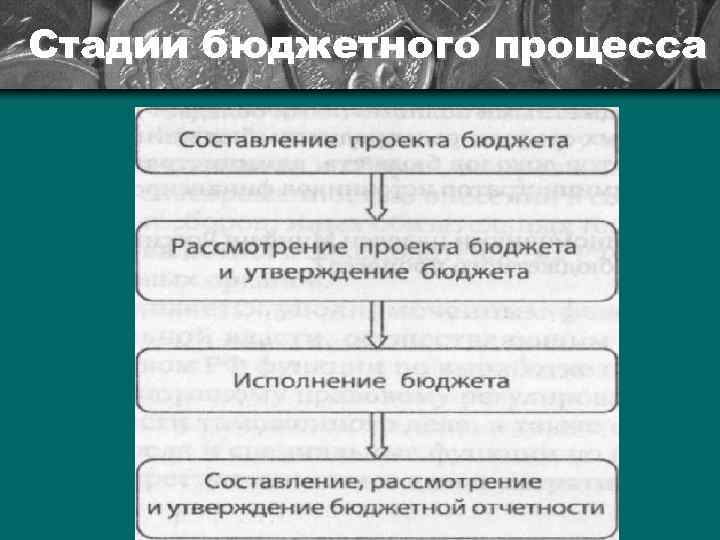 Стадии бюджетного процесса 