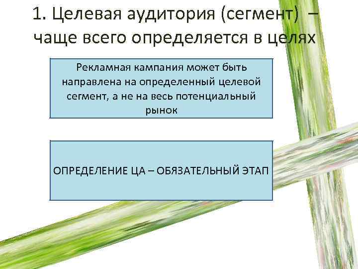 1. Целевая аудитория (сегмент) – чаще всего определяется в целях Рекламная кампания может быть