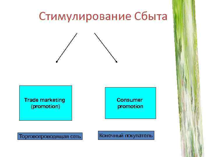 Стимулирование Сбыта Trade marketing (promotion) Торговопроводящая сеть Consumer promotion Конечный покупатель 