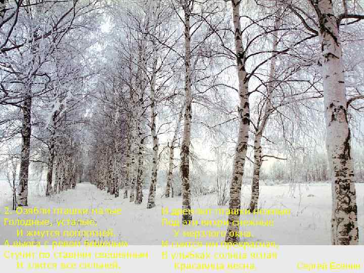 2. Озябли пташки малые Голодные, усталые, И жмутся поплотней. А вьюга с ревом бешеным