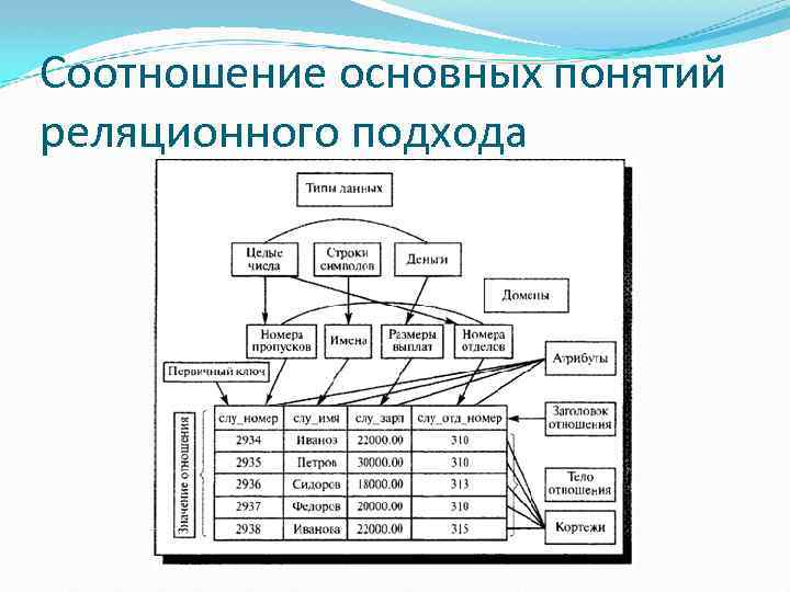 Соотношение общей