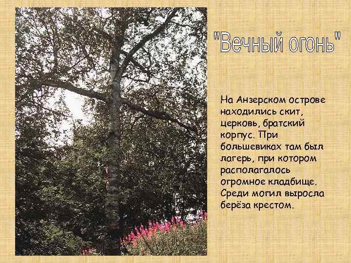 На Анзерском острове находились скит, церковь, братский корпус. При большевиках там был лагерь, при