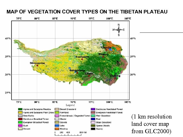MAP OF VEGETATION COVER TYPES ON THE TIBETAN PLATEAU (1 km resolution land cover