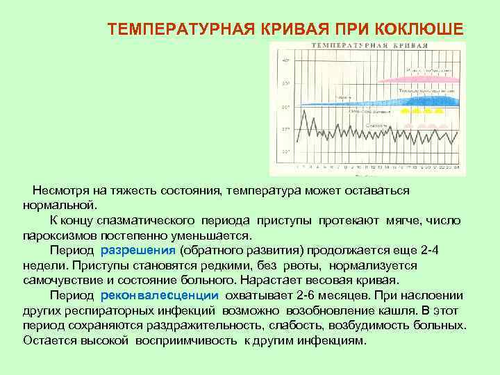 ТЕМПЕРАТУРНАЯ КРИВАЯ ПРИ КОКЛЮШЕ Несмотря на тяжесть состояния, температура может оставаться нормальной. К концу