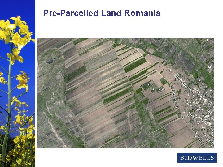 stewardship & Land Romania Pre-Parcelled prosperity 