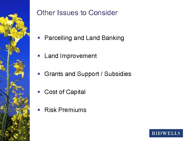 stewardship to Consider Other Issues& prosperity § Parcelling and Land Banking § Land Improvement