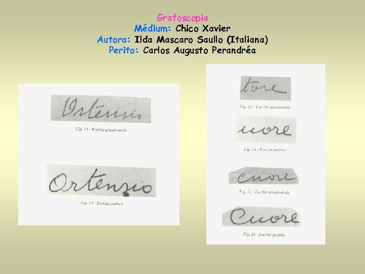 Grafoscopia Médium: Chico Xavier Autora: Ilda Mascaro Saullo (Italiana) Perito: Carlos Augusto Perandréa 