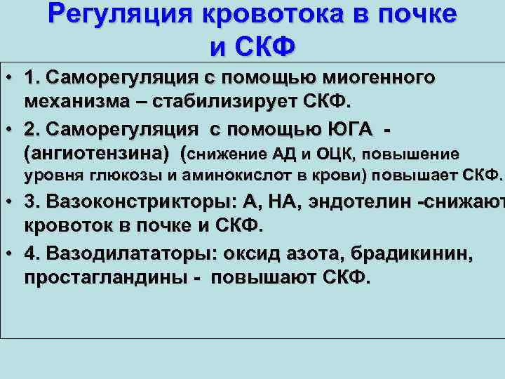 Регуляция кровотока в почке и СКФ • 1. Саморегуляция с помощью миогенного механизма –