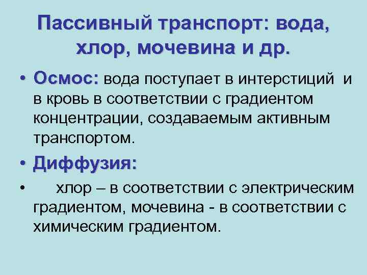 Пассивный транспорт: вода, хлор, мочевина и др. • Осмос: вода поступает в интерстиций и