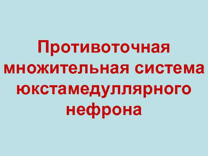 Противоточная множительная система юкстамедуллярного нефрона 