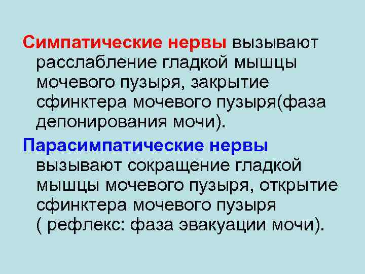 Симпатические нервы вызывают расслабление гладкой мышцы мочевого пузыря, закрытие сфинктера мочевого пузыря(фаза депонирования мочи).