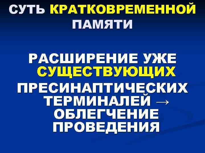 СУТЬ КРАТКОВРЕМЕННОЙ ПАМЯТИ РАСШИРЕНИЕ УЖЕ СУЩЕСТВУЮЩИХ ПРЕСИНАПТИЧЕСКИХ ТЕРМИНАЛЕЙ → ОБЛЕГЧЕНИЕ ПРОВЕДЕНИЯ 