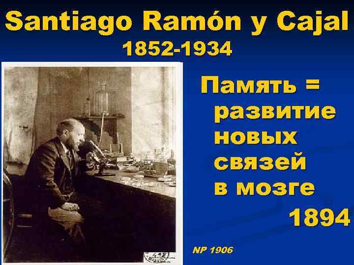 Santiago Ramón y Cajal 1852 -1934 Память = развитие новых связей в мозге 1894