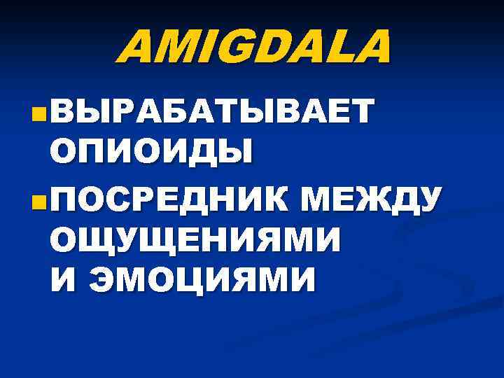 AMIGDALA n ВЫРАБАТЫВАЕТ ОПИОИДЫ n ПОСРЕДНИК МЕЖДУ ОЩУЩЕНИЯМИ И ЭМОЦИЯМИ 
