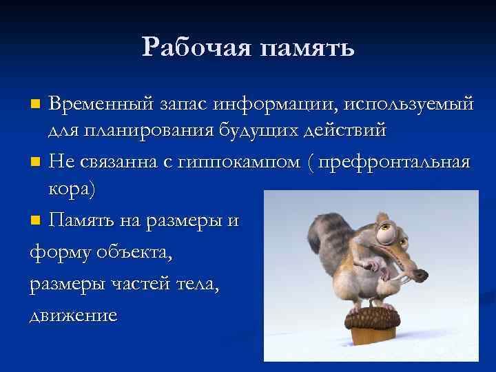 Рабочая память Временный запас информации, используемый для планирования будущих действий n Не связанна с