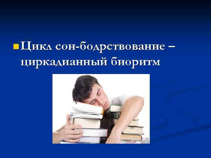 n Цикл сон-бодрствование – циркадианный биоритм 