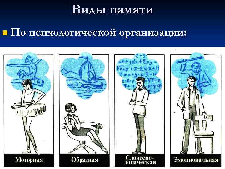 Виды памяти n По психологической организации: 