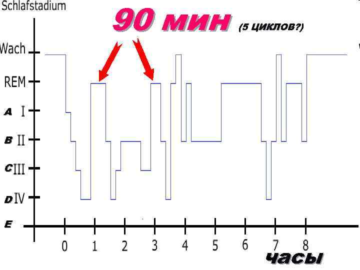 90 мин (5 ЦИКЛОВ? ) A B С D E часы 
