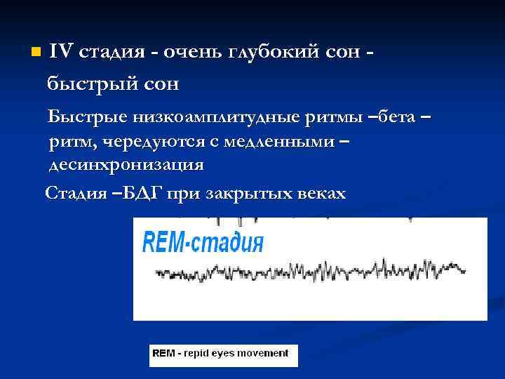 n IV стадия - очень глубокий сон быстрый сон Быстрые низкоамплитудные ритмы –бета –