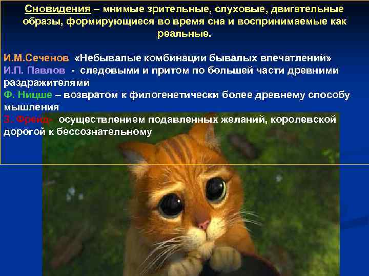 Сновидения – мнимые зрительные, слуховые, двигательные образы, формирующиеся во время сна и воспринимаемые как