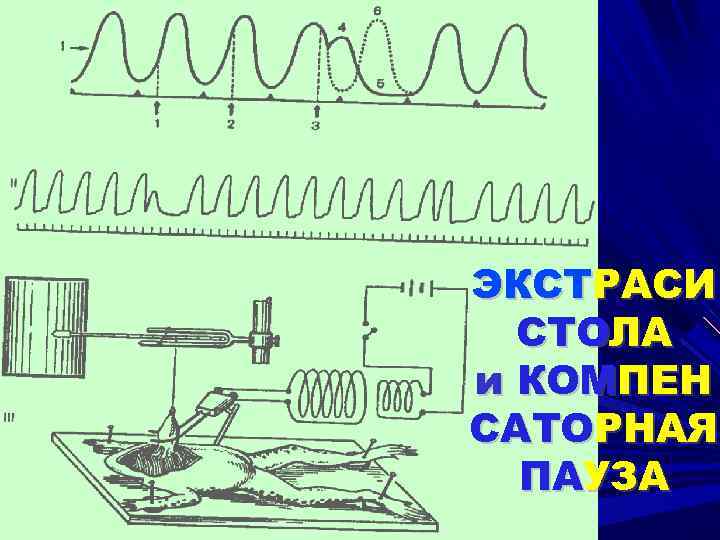 ЭКСТРАСИ СТОЛА и КОМПЕН САТОРНАЯ ПАУЗА 