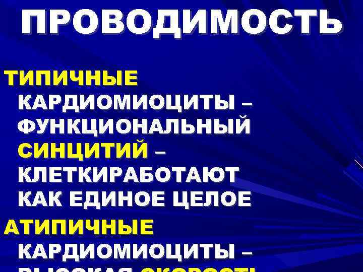 ПРОВОДИМОСТЬ ТИПИЧНЫЕ КАРДИОМИОЦИТЫ – ФУНКЦИОНАЛЬНЫЙ СИНЦИТИЙ – КЛЕТКИРАБОТАЮТ КАК ЕДИНОЕ ЦЕЛОЕ АТИПИЧНЫЕ КАРДИОМИОЦИТЫ –