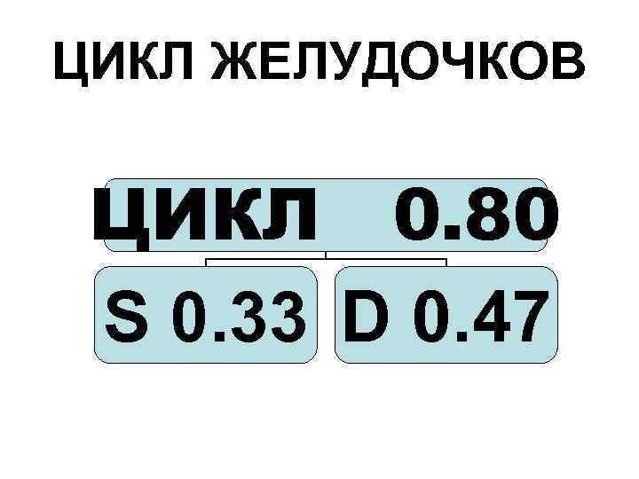 ЦИКЛ ЖЕЛУДОЧКОВ ЦИКЛ 0. 80 S 0. 33 D 0. 47 