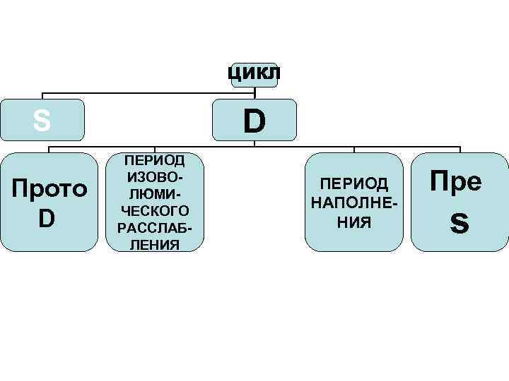 ЦИКЛ D S Прото D ПЕРИОД ИЗОВОЛЮМИЧЕСКОГО РАССЛАБЛЕНИЯ ПЕРИОД НАПОЛНЕНИЯ Пре s 