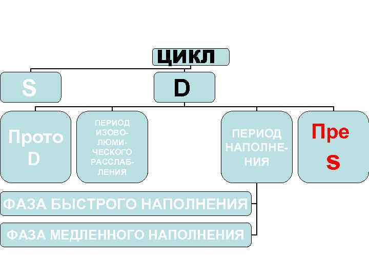 ЦИКЛ D S Прото D ПЕРИОД ИЗОВОЛЮМИЧЕСКОГО РАССЛАБЛЕНИЯ ПЕРИОД НАПОЛНЕНИЯ ФАЗА БЫСТРОГО НАПОЛНЕНИЯ ФАЗА