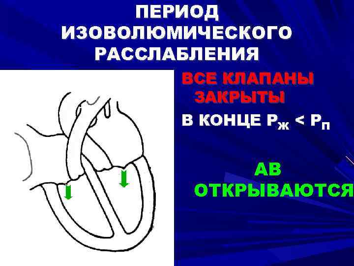 ПЕРИОД ИЗОВОЛЮМИЧЕСКОГО РАССЛАБЛЕНИЯ ВСЕ КЛАПАНЫ ЗАКРЫТЫ В КОНЦЕ РЖ < РП АВ ОТКРЫВАЮТСЯ 