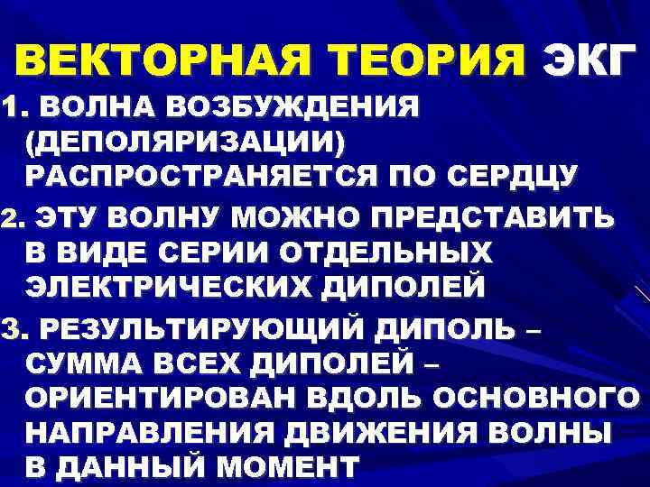 ВЕКТОРНАЯ ТЕОРИЯ ЭКГ 1. ВОЛНА ВОЗБУЖДЕНИЯ (ДЕПОЛЯРИЗАЦИИ) РАСПРОСТРАНЯЕТСЯ ПО СЕРДЦУ 2. ЭТУ ВОЛНУ МОЖНО