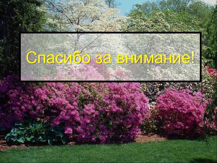 Спасибо за внимание! 