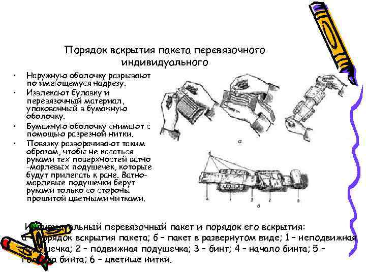 Порядок вскрытия пакета перевязочного индивидуального • • Наружную оболочку разрывают по имеющемуся надрезу. Извлекают