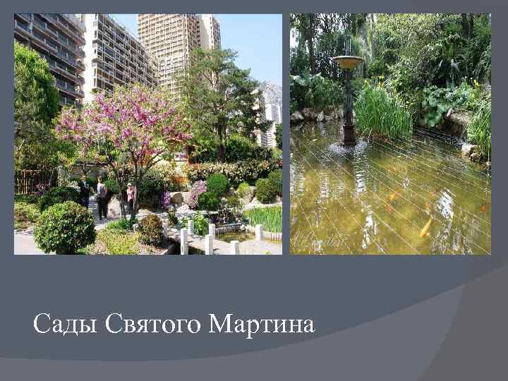 Сады Святого Мартина 