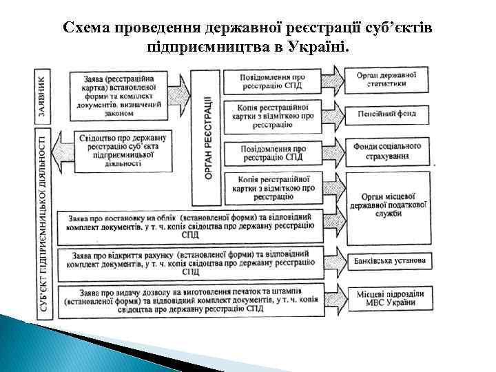 Схема проведення державної реєстрації суб’єктів підприємництва в Україні. 