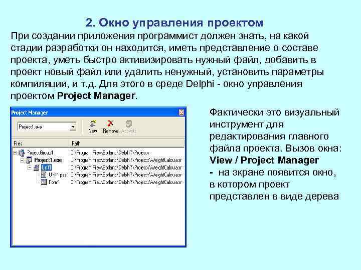 2. Окно управления проектом При создании приложения программист должен знать, на какой стадии разработки