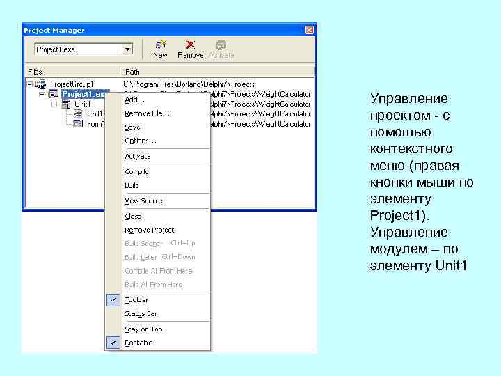 Управление проектом с помощью контекстного меню (правая кнопки мыши по элементу Project 1). Управление