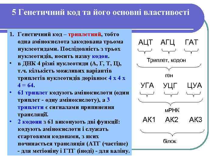 5 Генетичний код та його основні властивості 1. Генетичний код – триплетний, тобто одна