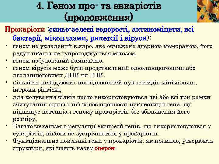 4. Геном про- та евкаріотів (продовження) Прокаріоти (синьо-зелені водорості, актиноміцети, всі бактерії, мікоплазми, рикетсії