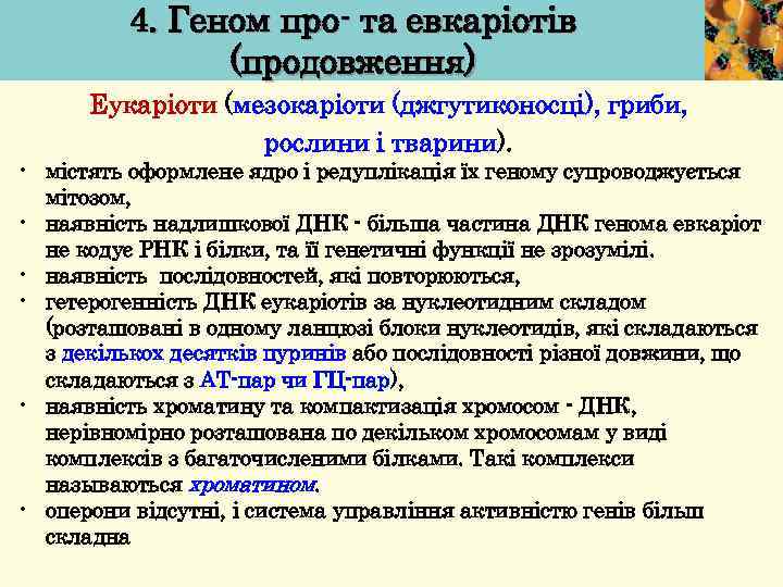 4. Геном про- та евкаріотів (продовження) Еукаріоти (мезокаріоти (джгутиконосці), гриби, рослини і тварини). •
