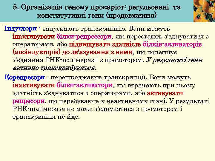 5. Організація геному прокаріот: регульовані та конститутивні гени (продовження) Індуктори - запускають транскрипцію. Вони
