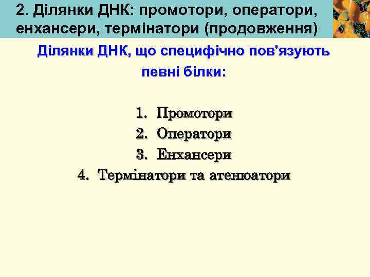 2. Ділянки ДНК: промотори, оператори, енхансери, термінатори (продовження) Ділянки ДНК, що специфічно пов'язують певні