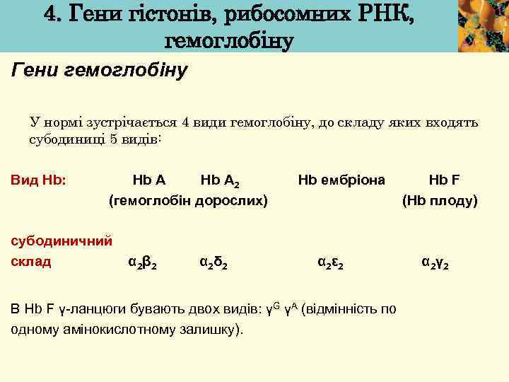 4. Гени гістонів, рибосомних РНК, гемоглобіну Гени гемоглобіну У нормі зустрічається 4 види гемоглобіну,