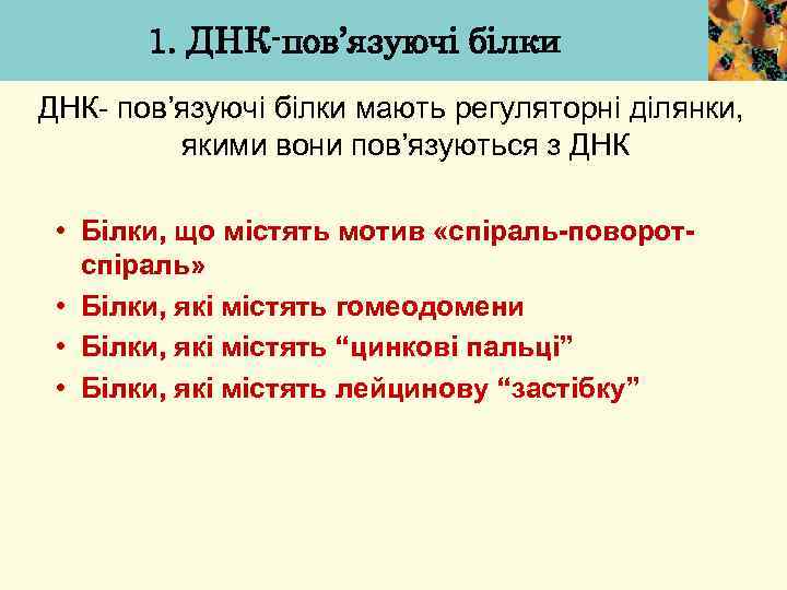1. ДНК-пов’язуючі білки ДНК- пов’язуючі білки мають регуляторні ділянки, якими вони пов’язуються з ДНК