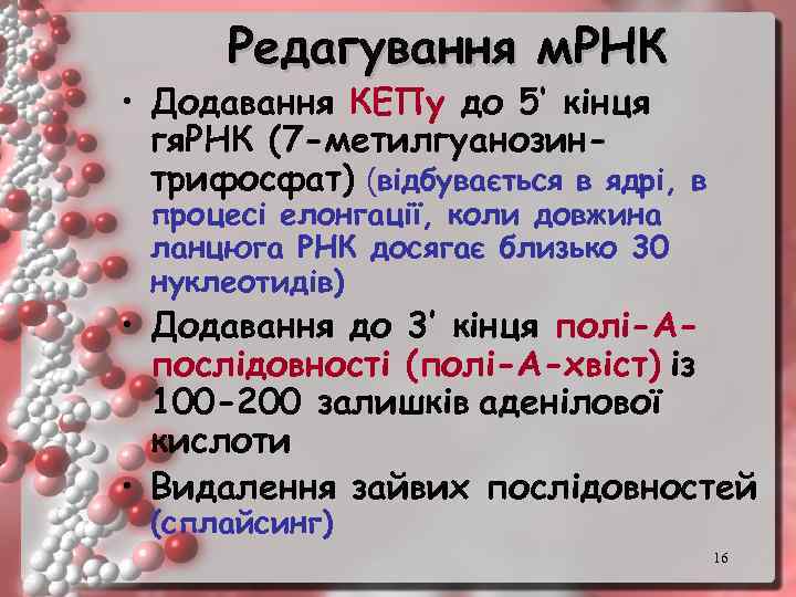 Редагування м. РНК • Додавання КЕПу до 5‘ кінця гя. РНК (7 -метилгуанозинтрифосфат) (відбувається