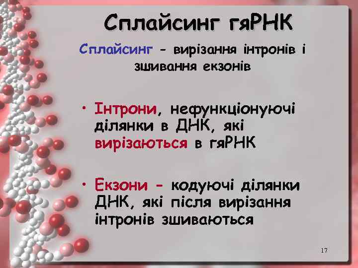 Сплайсинг гя. РНК Сплайсинг - вирізання інтронів і зшивання екзонів • Інтрони, нефункціонуючі ділянки