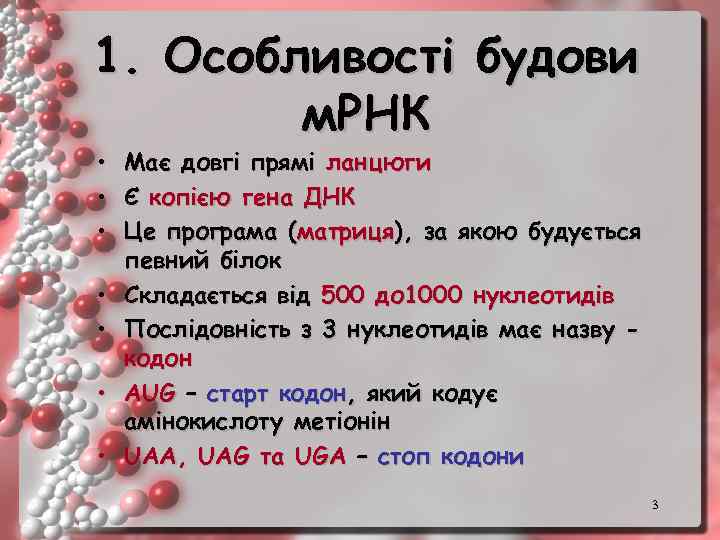 1. Особливості будови м. РНК • • Має довгі прямі ланцюги Є копією гена