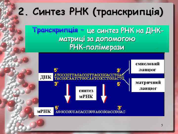 2. Синтез РНК (транскрипція) Транскрипція – це синтез РНК на ДНКматриці за допомогою РНК-полімерази