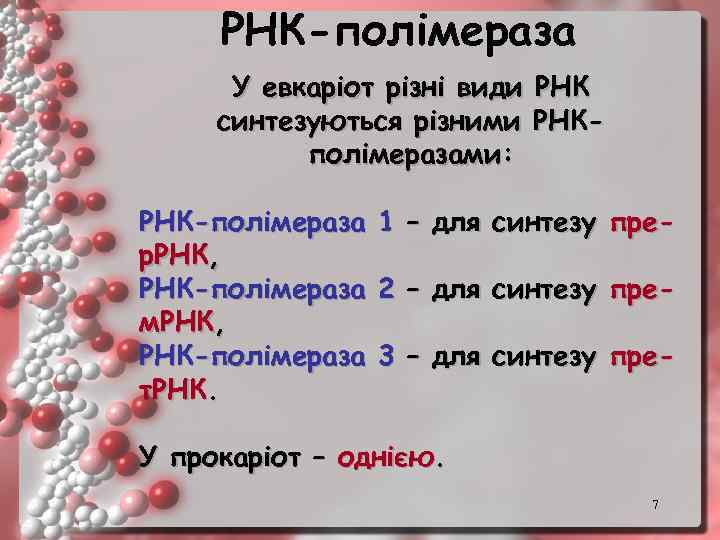 РНК-полімераза У евкаріот різні види РНК синтезуються різними РНКполімеразами: РНК-полімераза 1 – для синтезу